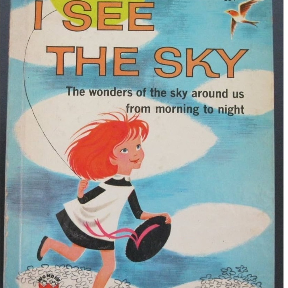I See the Sky Children's Book by Ann Peters Vintage Hardcover